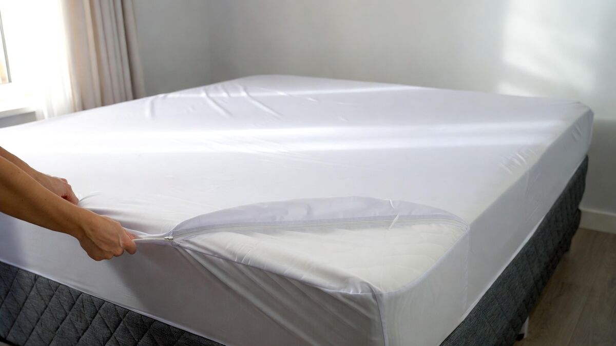 Housse anti-punaises de lit : guide complet pour la choisir et l'installer