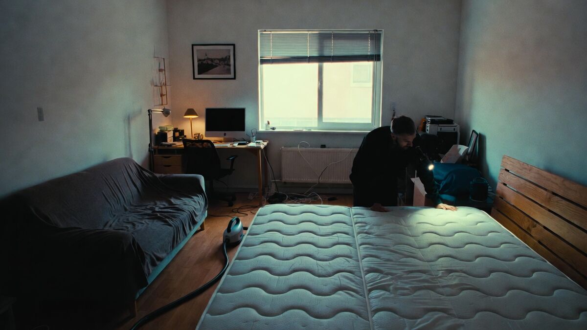 Punaises de lit en studio : comment réagir et traiter un espace réduit ?